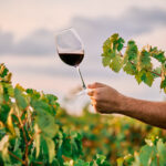 Wine